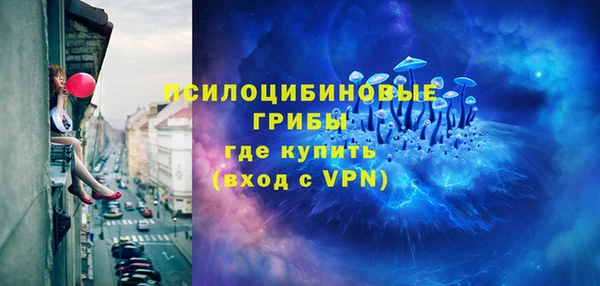 МДПВ Осинники