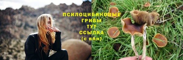 скорость mdpv Осташков