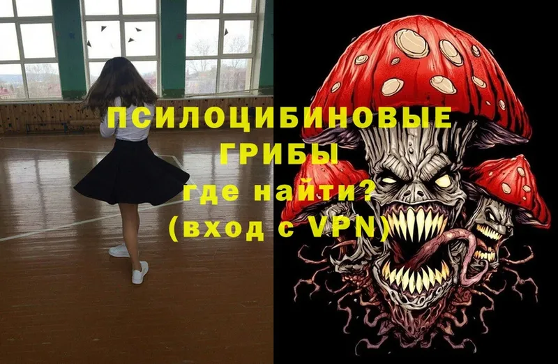 Псилоцибиновые грибы Magic Shrooms  купить   мориарти состав  Артёмовск 